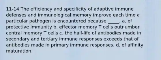 11-14 The efficiency and specificity of adaptive immune defenses and immunological memory improve each time a particular pathogen is encountered because _____. a. of protective immunity b. effector memory T cells outnumber central memory T cells c. the half-life of antibodies made in secondary and tertiary immune responses exceeds that of antibodies made in primary immune responses. d. of affinity maturation.