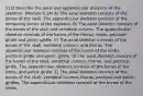 112) Describe the axial and appendicular divisions of the skeleton. (Module 6.1A) A) The axial skeleton consists of the bones of the skull. The appendicular skeleton consists of the remaining bones of the skeleton. B) The axial skeleton consists of the bones of the skull and vertebral column. The appendicular skeleton consists of the bones of the thorax, limbs, pectoral girdle and pelvic girdle. C) The axial skeleton consists of the bones of the skull, vertebral column, and thorax. The appendicular skeleton consists of the bones of the limbs, pectoral girdle and pelvic girdle. D) The axial skeleton consists of the bones of the skull, vertebral column, thorax, and pectoral girdle. The appendicular skeleton consists of the bones of the limbs, and pelvic girdle. E) The axial skeleton consists of the bones of the skull, vertebral column, thorax, pectoral and pelvic girdles. The appendicular skeleton consists of the bones of the limbs.