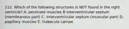 112. Which of the following structures is NOT found in the right ventricle? A. pectinate muscles B interventricular septum (membranous part) C. interventricular septum (muscular part) D. papillary muscles E. trabecula carnae