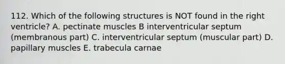 112. Which of the following structures is NOT found in the right ventricle? A. pectinate muscles B interventricular septum (membranous part) C. interventricular septum (muscular part) D. papillary muscles E. trabecula carnae