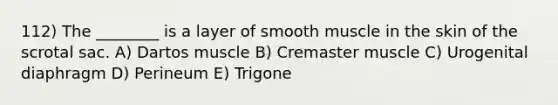 112) The ________ is a layer of smooth muscle in the skin of the scrotal sac. A) Dartos muscle B) Cremaster muscle C) Urogenital diaphragm D) Perineum E) Trigone