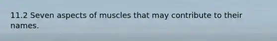 11.2 Seven aspects of muscles that may contribute to their names.