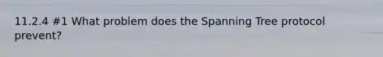 11.2.4 #1 What problem does the Spanning Tree protocol prevent?