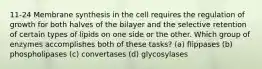 11-24 Membrane synthesis in the cell requires the regulation of growth for both halves of the bilayer and the selective retention of certain types of lipids on one side or the other. Which group of enzymes accomplishes both of these tasks? (a) flippases (b) phospholipases (c) convertases (d) glycosylases