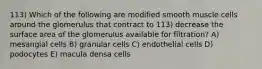 113) Which of the following are modified smooth muscle cells around the glomerulus that contract to 113) decrease the surface area of the glomerulus available for filtration? A) mesangial cells B) granular cells C) endothelial cells D) podocytes E) macula densa cells