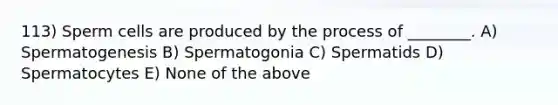 113) Sperm cells are produced by the process of ________. A) Spermatogenesis B) Spermatogonia C) Spermatids D) Spermatocytes E) None of the above