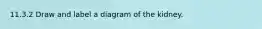 11.3.2 Draw and label a diagram of the kidney.