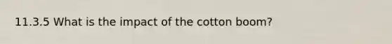 11.3.5 What is the impact of the cotton boom?