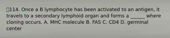 114. Once a B lymphocyte has been activated to an antigen, it travels to a secondary lymphoid organ and forms a ______ where cloning occurs. A. MHC molecule B. FAS C. CD4 D. germinal center