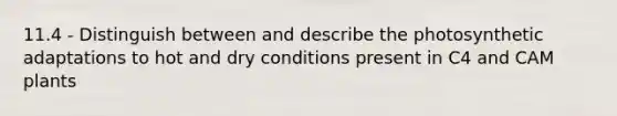 11.4 - Distinguish between and describe the photosynthetic adaptations to hot and dry conditions present in C4 and CAM plants