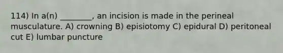 114) In a(n) ________, an incision is made in the perineal musculature. A) crowning B) episiotomy C) epidural D) peritoneal cut E) lumbar puncture