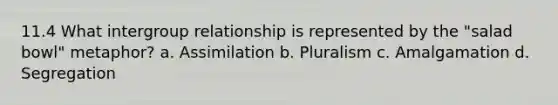 11.4 What intergroup relationship is represented by the "salad bowl" metaphor? a. Assimilation b. Pluralism c. Amalgamation d. Segregation