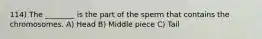 114) The ________ is the part of the sperm that contains the chromosomes. A) Head B) Middle piece C) Tail