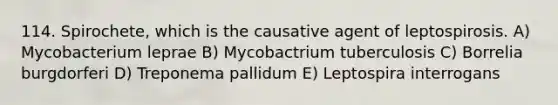 114. Spirochete, which is the causative agent of leptospirosis. A) Mycobacterium leprae B) Mycobactrium tuberculosis C) Borrelia burgdorferi D) Treponema pallidum E) Leptospira interrogans