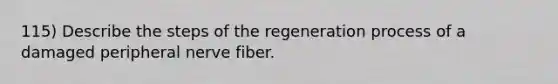 115) Describe the steps of the regeneration process of a damaged peripheral nerve fiber.