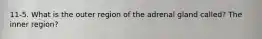 11-5. What is the outer region of the adrenal gland called? The inner region?