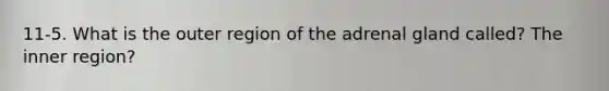 11-5. What is the outer region of the adrenal gland called? The inner region?