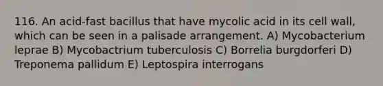 116. An acid-fast bacillus that have mycolic acid in its cell wall, which can be seen in a palisade arrangement. A) Mycobacterium leprae B) Mycobactrium tuberculosis C) Borrelia burgdorferi D) Treponema pallidum E) Leptospira interrogans