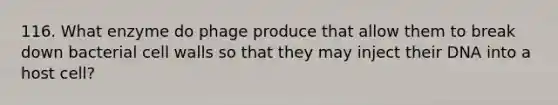 116. What enzyme do phage produce that allow them to break down bacterial cell walls so that they may inject their DNA into a host cell?