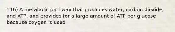 116) A metabolic pathway that produces water, carbon dioxide, and ATP, and provides for a large amount of ATP per glucose because oxygen is used