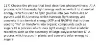 117) Choose the phrase that best describes photosynthesis. A) A process which harvests light energy and converts it to chemical energy, which is used to split glucose into two molecules of pyruvic acid B) A process which harvests light energy and converts it to chemical energy (ATP and NADPH) that is then used to "fix" or transform into organic compounds such as sugars C) A process which uses light energy to fuel anabolic reactions such as the assembly of large polysaccharides D) A process which occurs in plants and converts solar energy to sugars