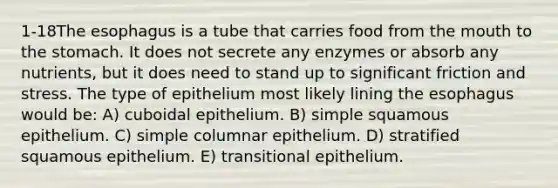 1-18The esophagus is a tube that carries food from the mouth to the stomach. It does not secrete any enzymes or absorb any nutrients, but it does need to stand up to significant friction and stress. The type of epithelium most likely lining the esophagus would be: A) cuboidal epithelium. B) simple squamous epithelium. C) simple columnar epithelium. D) stratified squamous epithelium. E) transitional epithelium.