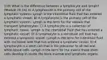 119) What is the difference between a lymphocyte and lymph? (Module 20.1A) A) A lymphocyte is the primary cell of the lymphatic system. Lymph is the interstitial fluid that has entered a lymphatic vessel. B) A lymphocyte is the primary cell of the lymphatic system. Lymph is the term for the vessels that transport lymphocytes. C) A lymphocyte is a collection of lymphatic tissue. Lymph is the interstitial fluid that has entered a lymphatic vessel. D) A lymphocyte is a red blood cell that has entered a lymphatic vessel. Lymph is the term for interstitial fluid with red blood cells that has entered a lymphatic vessel. E) A lymphocyte is a stem cell that is the precursor to all red and white blood cells. Lymph is the term for the matrix those stem cells develop in inside the bone marrow and lymphatic organs.