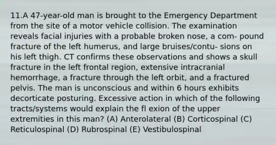 11.A 47-year-old man is brought to the Emergency Department from the site of a motor vehicle collision. The examination reveals facial injuries with a probable broken nose, a com- pound fracture of the left humerus, and large bruises/contu- sions on his left thigh. CT confirms these observations and shows a skull fracture in the left frontal region, extensive intracranial hemorrhage, a fracture through the left orbit, and a fractured pelvis. The man is unconscious and within 6 hours exhibits decorticate posturing. Excessive action in which of the following tracts/systems would explain the fl exion of the upper extremities in this man? (A) Anterolateral (B) Corticospinal (C) Reticulospinal (D) Rubrospinal (E) Vestibulospinal