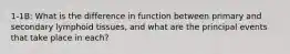 1-1B: What is the difference in function between primary and secondary lymphoid tissues, and what are the principal events that take place in each?