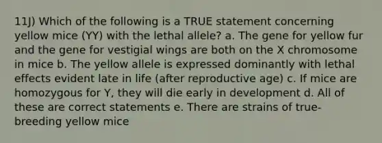 11J) Which of the following is a TRUE statement concerning yellow mice (YY) with the lethal allele? a. The gene for yellow fur and the gene for vestigial wings are both on the X chromosome in mice b. The yellow allele is expressed dominantly with lethal effects evident late in life (after reproductive age) c. If mice are homozygous for Y, they will die early in development d. All of these are correct statements e. There are strains of true-breeding yellow mice