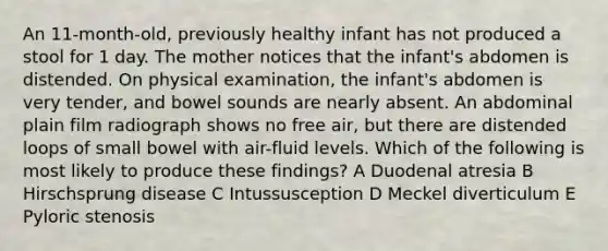 An 11-month-old, previously healthy infant has not produced a stool for 1 day. The mother notices that the infant's abdomen is distended. On physical examination, the infant's abdomen is very tender, and bowel sounds are nearly absent. An abdominal plain film radiograph shows no free air, but there are distended loops of small bowel with air-fluid levels. Which of the following is most likely to produce these findings? A Duodenal atresia B Hirschsprung disease C Intussusception D Meckel diverticulum E Pyloric stenosis