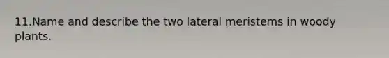 11.​Name and describe the two lateral meristems in woody plants.