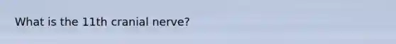What is the 11th cranial nerve?