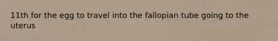 11th for the egg to travel into the fallopian tube going to the uterus