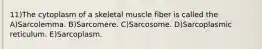 11)The cytoplasm of a skeletal muscle fiber is called the A)Sarcolemma. B)Sarcomere. C)Sarcosome. D)Sarcoplasmic reticulum. E)Sarcoplasm.