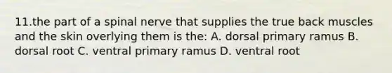 11.the part of a spinal nerve that supplies the true back muscles and the skin overlying them is the: A. dorsal primary ramus B. dorsal root C. ventral primary ramus D. ventral root