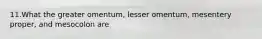 11.What the greater omentum, lesser omentum, mesentery proper, and mesocolon are
