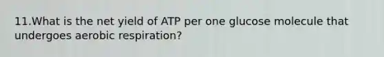 11.What is the net yield of ATP per one glucose molecule that undergoes aerobic respiration?