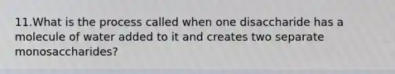 11.What is the process called when one disaccharide has a molecule of water added to it and creates two separate monosaccharides?