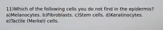 11)Which of the following cells you do not find in the epidermis? a)Melanocytes. b)Fibroblasts. c)Stem cells. d)Keratinocytes. e)Tactile (Merkel) cells.