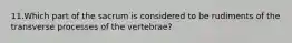 11.Which part of the sacrum is considered to be rudiments of the transverse processes of the vertebrae?