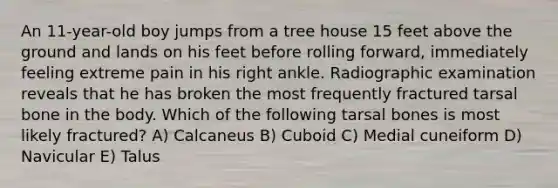 An 11-year-old boy jumps from a tree house 15 feet above the ground and lands on his feet before rolling forward, immediately feeling extreme pain in his right ankle. Radiographic examination reveals that he has broken the most frequently fractured tarsal bone in the body. Which of the following tarsal bones is most likely fractured? A) Calcaneus B) Cuboid C) Medial cuneiform D) Navicular E) Talus