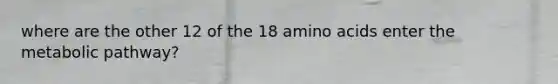 where are the other 12 of the 18 amino acids enter the metabolic pathway?