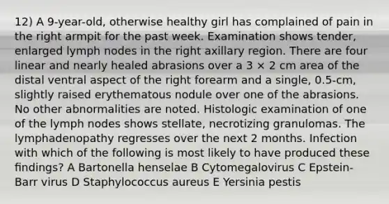 12) A 9-year-old, otherwise healthy girl has complained of pain in the right armpit for the past week. Examination shows tender, enlarged lymph nodes in the right axillary region. There are four linear and nearly healed abrasions over a 3 × 2 cm area of the distal ventral aspect of the right forearm and a single, 0.5-cm, slightly raised erythematous nodule over one of the abrasions. No other abnormalities are noted. Histologic examination of one of the lymph nodes shows stellate, necrotizing granulomas. The lymphadenopathy regresses over the next 2 months. Infection with which of the following is most likely to have produced these ﬁndings? A Bartonella henselae B Cytomegalovirus C Epstein-Barr virus D Staphylococcus aureus E Yersinia pestis