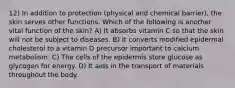 12) In addition to protection (physical and chemical barrier), the skin serves other functions. Which of the following is another vital function of the skin? A) It absorbs vitamin C so that the skin will not be subject to diseases. B) It converts modified epidermal cholesterol to a vitamin D precursor important to calcium metabolism. C) The cells of the epidermis store glucose as glycogen for energy. D) It aids in the transport of materials throughout the body.