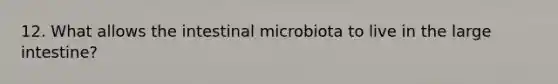 12. What allows the intestinal microbiota to live in the large intestine?