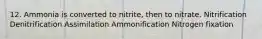 12. Ammonia is converted to nitrite, then to nitrate. Nitrification Denitrification Assimilation Ammonification Nitrogen fixation