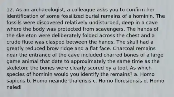 12. As an archaeologist, a colleague asks you to confirm her identification of some fossilized burial remains of a hominin. The fossils were discovered relatively undisturbed, deep in a cave where the body was protected from scavengers. The hands of the skeleton were deliberately folded across the chest and a crude flute was clasped between the hands. The skull had a greatly reduced brow ridge and a flat face. Charcoal remains near the entrance of the cave included charred bones of a large game animal that date to approximately the same time as the skeleton; the bones were clearly scored by a tool. As which species of hominin would you identify the remains? a. <a href='https://www.questionai.com/knowledge/k9aqcXDhxN-homo-sapiens' class='anchor-knowledge'>homo sapiens</a> b. Homo neanderthalensis c. Homo floresiensis d. Homo naledi