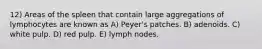 12) Areas of the spleen that contain large aggregations of lymphocytes are known as A) Peyer's patches. B) adenoids. C) white pulp. D) red pulp. E) lymph nodes.