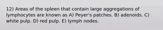 12) Areas of the spleen that contain large aggregations of lymphocytes are known as A) Peyer's patches. B) adenoids. C) white pulp. D) red pulp. E) lymph nodes.